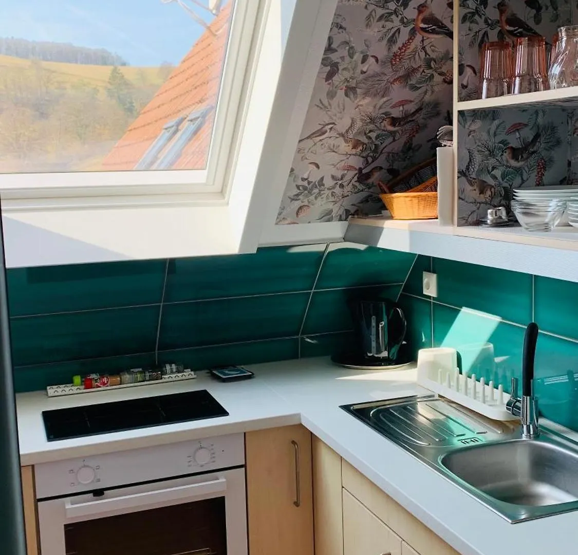 Ferienwohnung Haus Sonnenschein Mespelbrunn Apartment