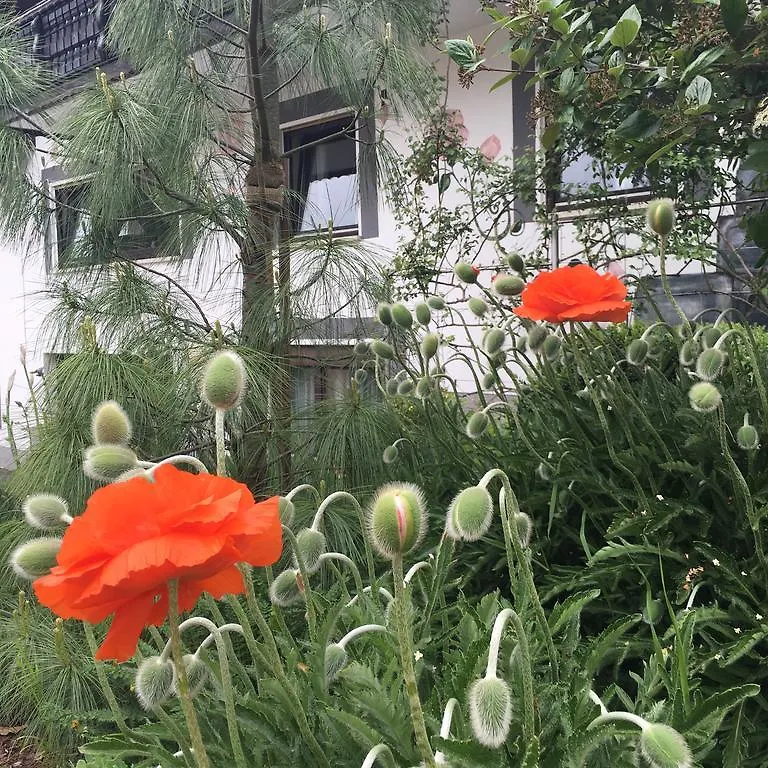 Апартаменты Haus Sonnenschein Меспельбрунн Германия
